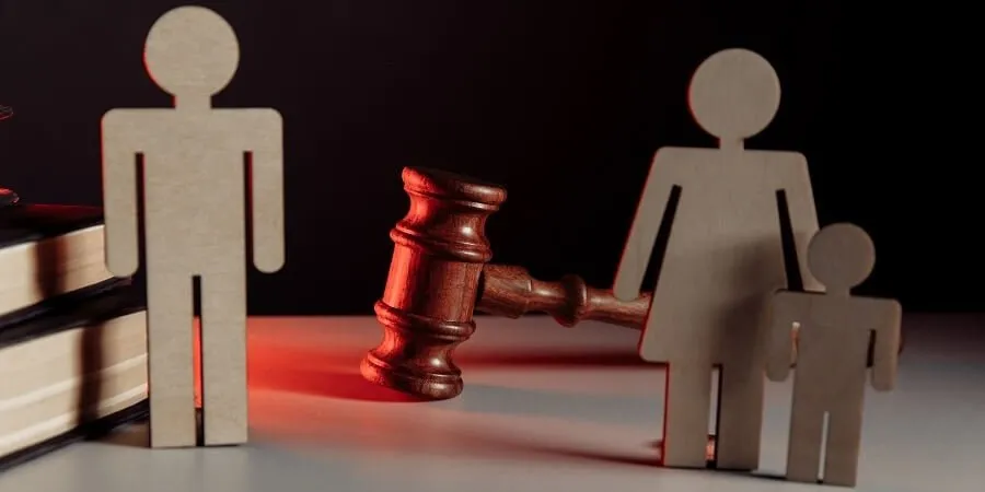 Custodia Compartida en Colombia | Sentencia T-255/24